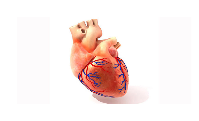 cardiology - Best Heart Hospital