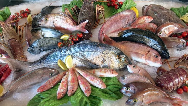 Fatty Fish