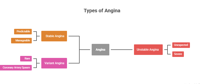 Types of Angina