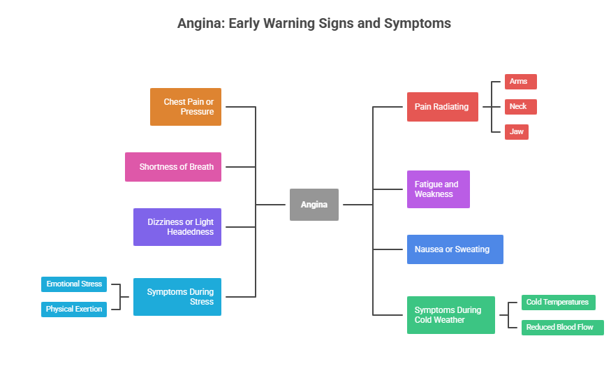 What Is Angina – Early Warning Signs You Should Never Ignore